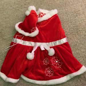 Dog Christimas Outfit w/ hat
